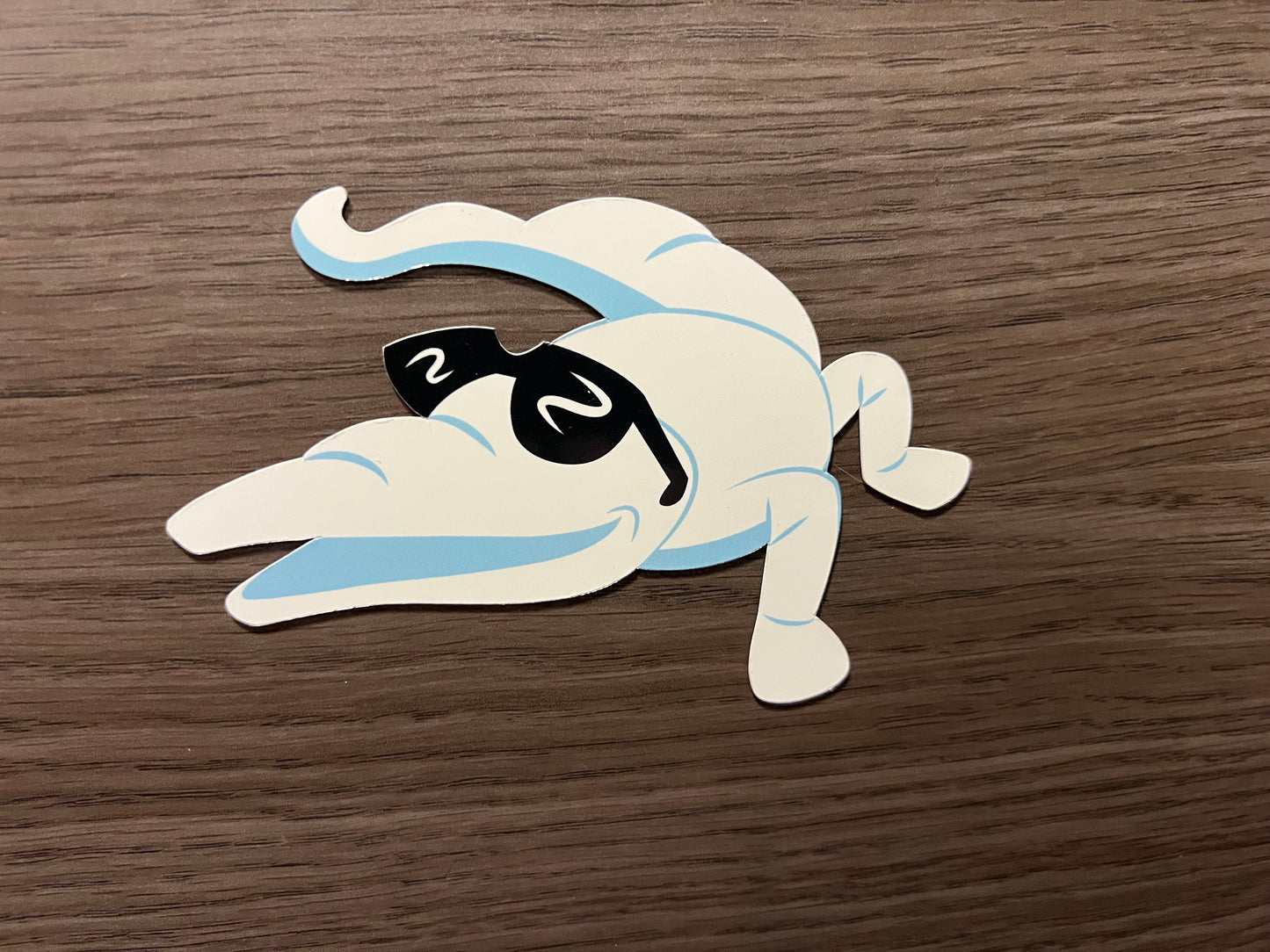 Cruise Door Magnet Pack