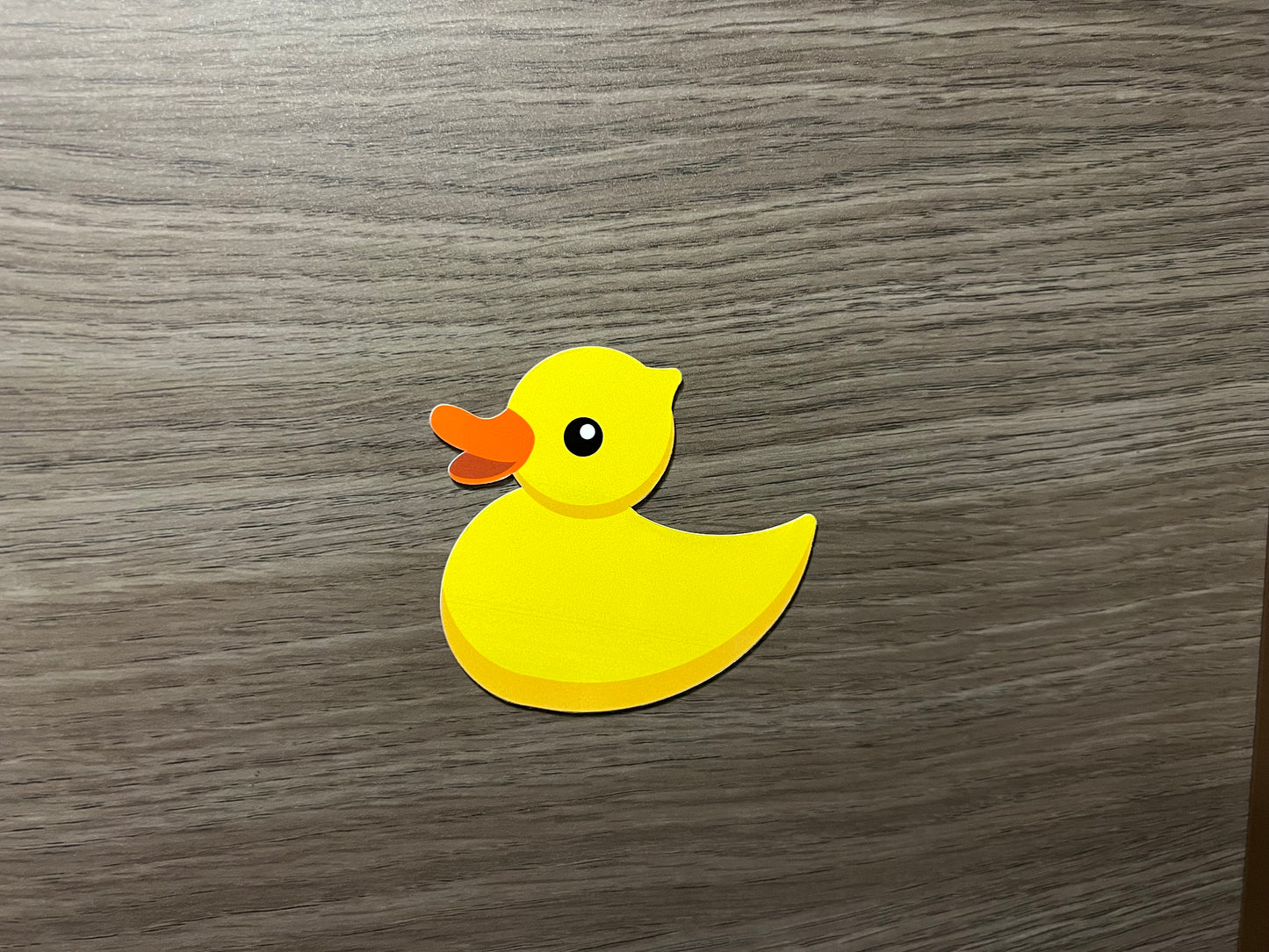 Cruise Door Magnet Pack